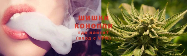 амф Надым