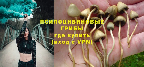 амф Надым