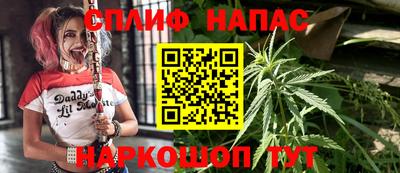 ГАЛЛЮЦИНОГЕННЫЕ ГРИБЫ Балахна