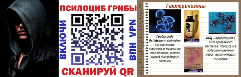 купить наркотики сайты  Югорск  Псилоцибиновые грибы мицелий 
