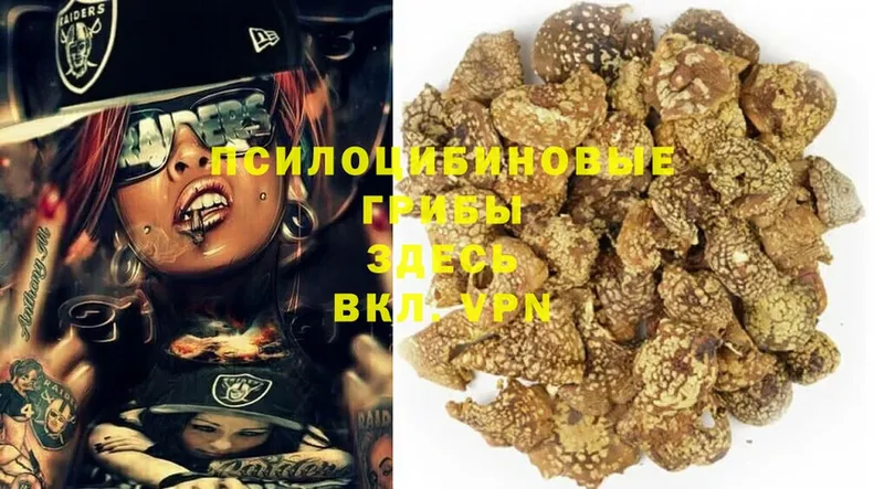 Псилоцибиновые грибы MAGIC MUSHROOMS Югорск