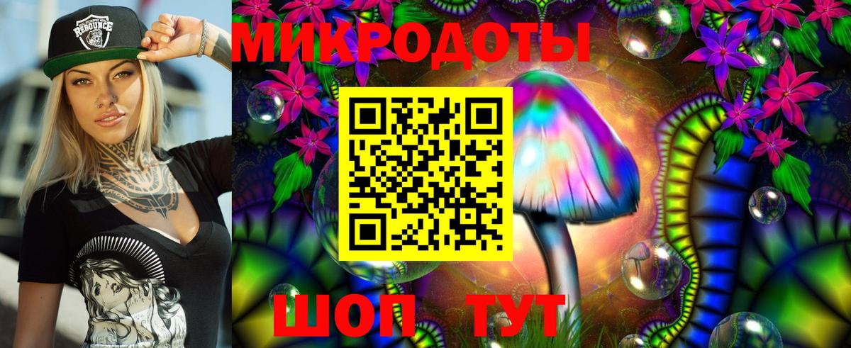 Псилоцибиновые грибы Psilocybe Югорск