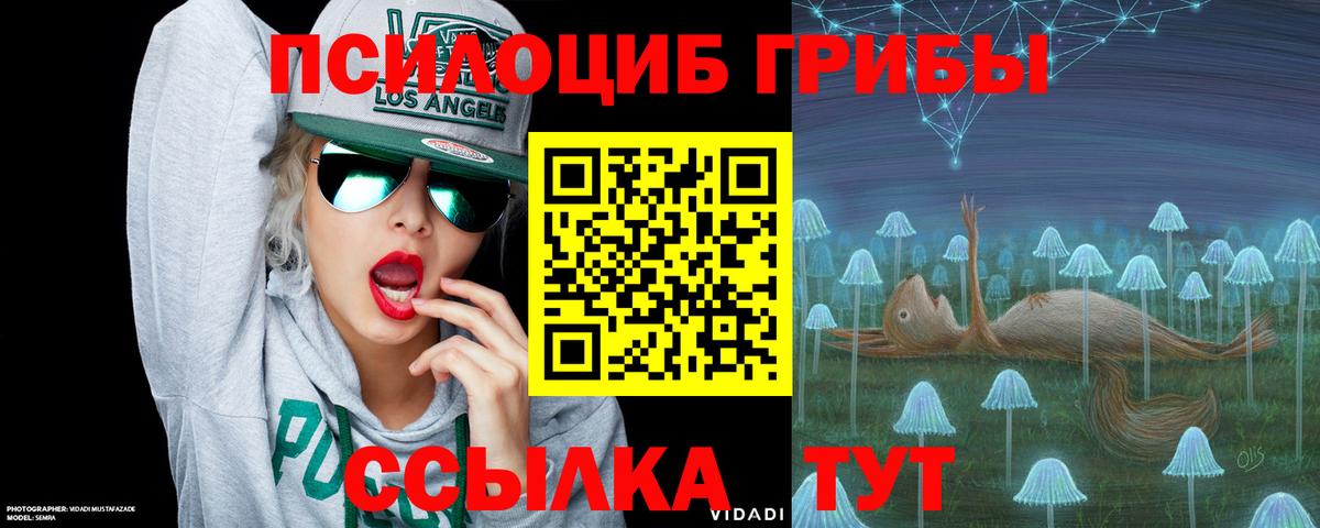 Псилоцибиновые грибы GOLDEN TEACHER  Вход с VPN  Югорск 